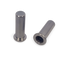 RN Series Stainless Steel Rivet Nuts